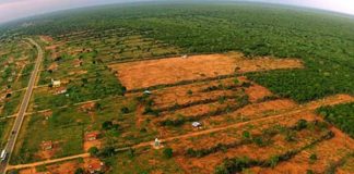 Deforestation at Wilpattu still ongoing?