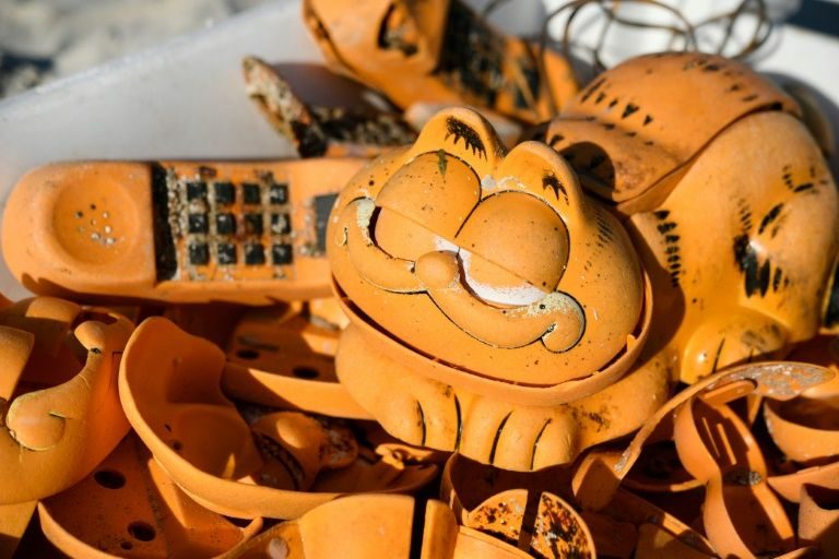 Garfield beach phone mystery solved after 30 years