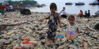 Environment damage behind 1 in 4 global deaths, disease: UN