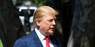 Trump lawyer attacks Mueller report as ‘calumny, lies and distortion’