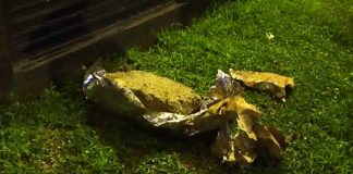 Strict action against who mislead the police