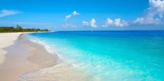 Sea areas from Beruwala to Matara may experience surges: Met. Dept.