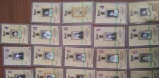 An individual in Kalpitiya who had 22 identity cards in his possession taken into custody