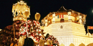 Pandal makers in distress due to restrictions on Vesak zones