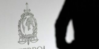 50 children saved after police bust paedophile website: Interpol