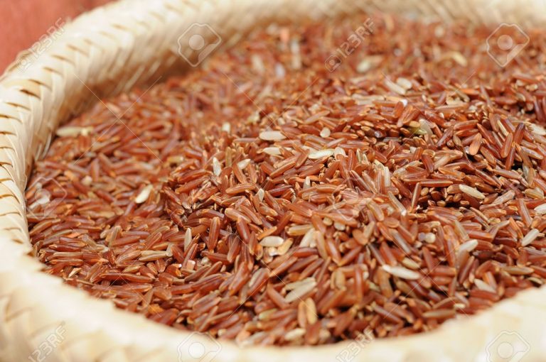 Prehistoric Sri Lankans consumed rice 48 000 years ago