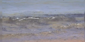 Black oil residue in Wellawatte and Mount Lavinia beaches