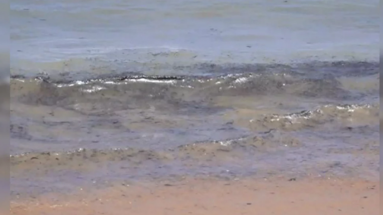 Black oil residue in Wellawatte and Mount Lavinia beaches