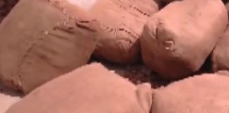 980kg of beedi leaves found at Erambugodella