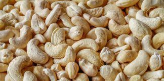 Import of cashew halted