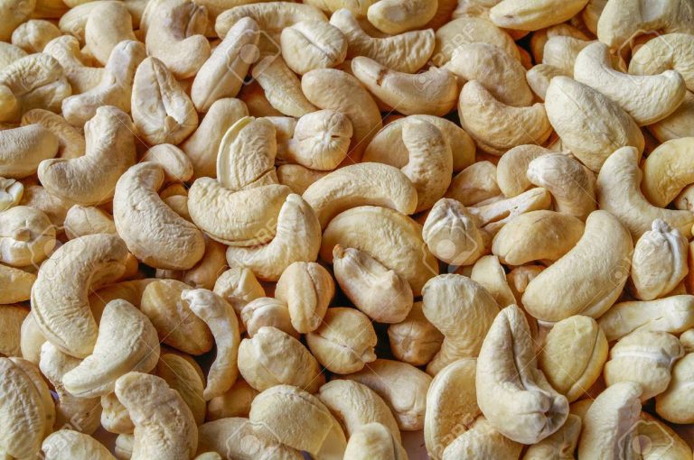 Import of cashew halted