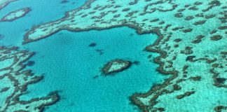 Great Barrier Reef agency breaks with Australia gvt in climate warning