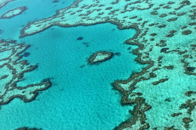 Great Barrier Reef agency breaks with Australia gvt in climate warning