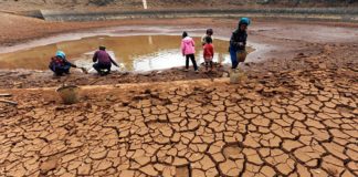 6000 acres of farmlands destroyed by dry weather