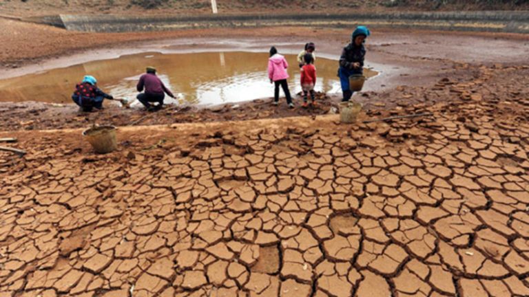 6000 acres of farmlands destroyed by dry weather