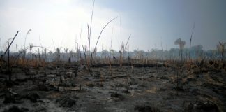 Brazil slams G7 aid offer as Amazon fires rage