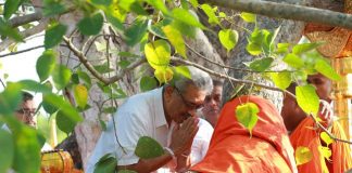 Gotabaya Rajapaksa pays homage to Jaya Sri Maha Bodhi