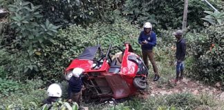 Two dead, 3 critical as three-wheeler falls down precipice