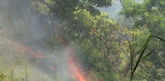Air Force assists to douse forest fire in Ettampitiya
