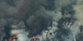 Brazil’s Bolsonaro open to foreign aid to fight Amazon fires