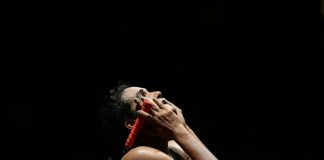 Sindhu toast of India after long-awaited world title