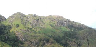 Ella forest fire reaches Ravana Ella falls