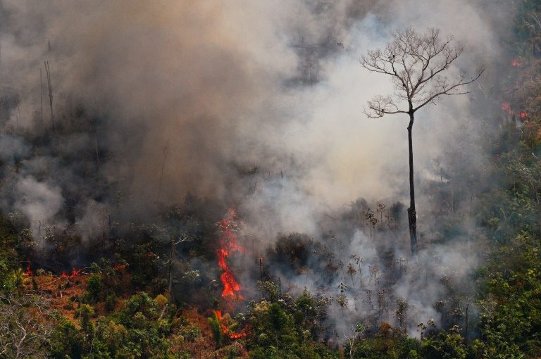 Brazil’s Bolsonaro authorizes army to help fight Amazon fires