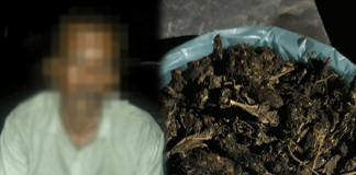 Navy holds a person with Kerala Cannabis