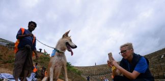 Move over Angelina Jolie, it’s ‘humanitarian pup’