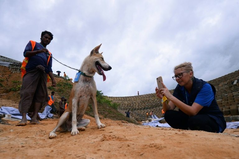 Move over Angelina Jolie, it’s ‘humanitarian pup’