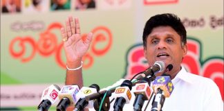 Sajith urges govt. to suspend dairy heifer imports