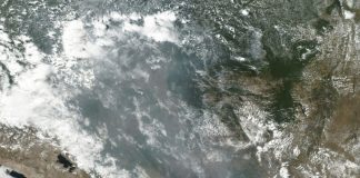 UN, France raise concern over Amazon wildfires ‘crisis’