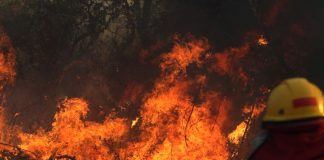 The Amazon is on fire – how bad is it?