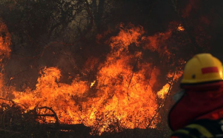 The Amazon is on fire – how bad is it?