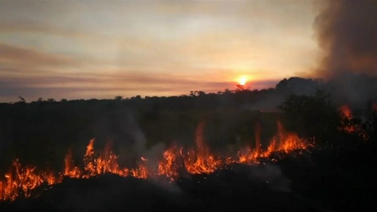 Forest fires grip Colombia as drought intensifies