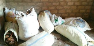 Person arrested with 192.5kg of Beedi leaves