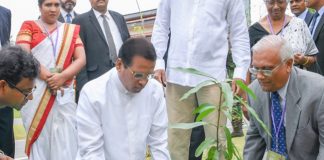 Environment is destroyed by people with political powers & racketeers – President