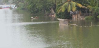 Water levels of Kelani, Kalu and Gin rivers rising