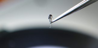 NASA pioneers malaria-predicting tech in Myanmar