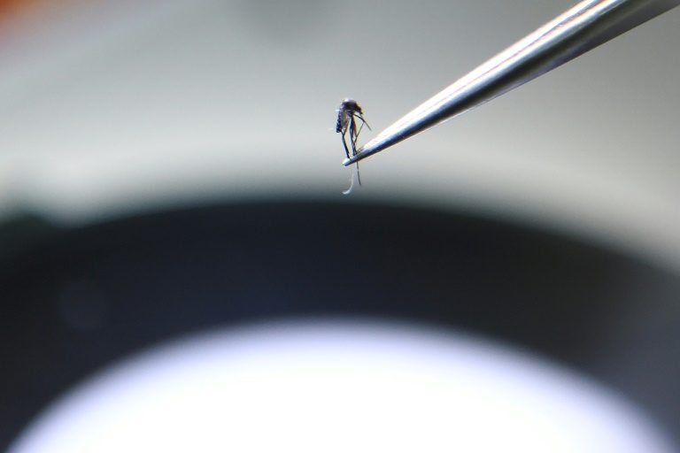 NASA pioneers malaria-predicting tech in Myanmar
