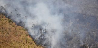 Bolivia has lost 1.7 million hectares to fire: government