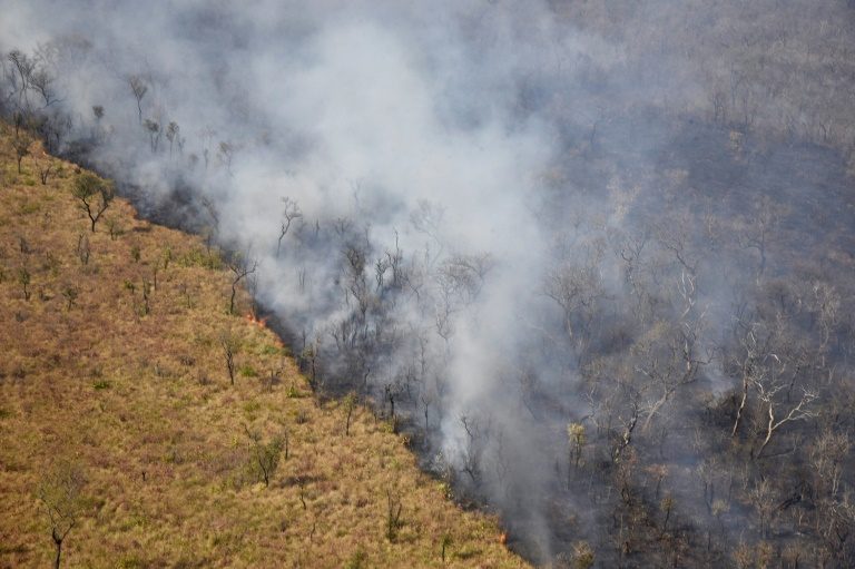 Bolivia has lost 1.7 million hectares to fire: government
