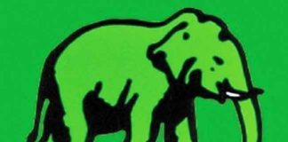 UNF decides to support the Government