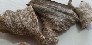 Agarwood worth Rs. 3.6 million seized at BIA