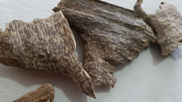 Agarwood worth Rs. 3.6 million seized at BIA