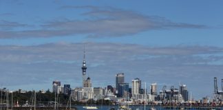 NZ sports store apologises over porn played on big screens