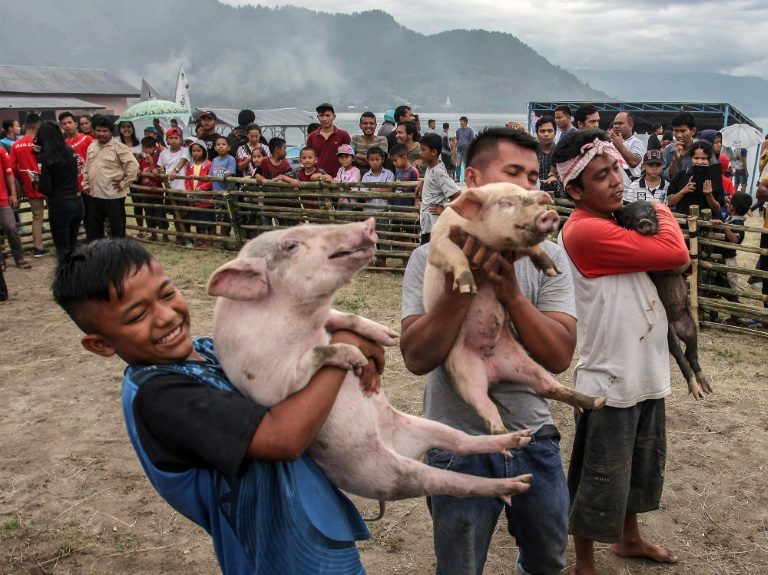 Indonesia’s halal tourism bid faces pig pushback