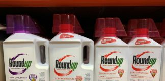 Bayer reports surge in number of legal cases over Roundup