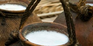 Illegal toddy plant raided in Aluthgama