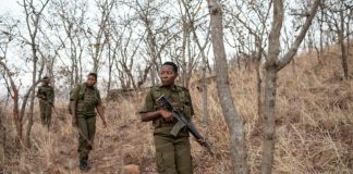 The ‘Brave Ones’: Zimbabwe’s women-only rangers fighting poaching